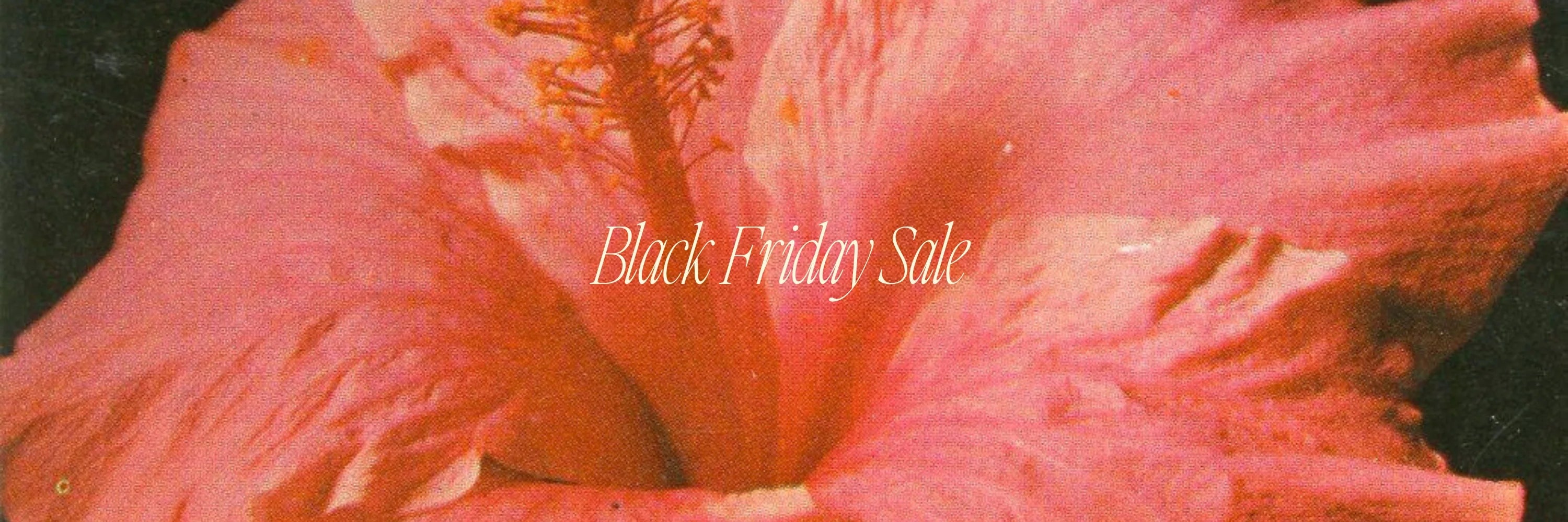 Black Friday Sale 2025