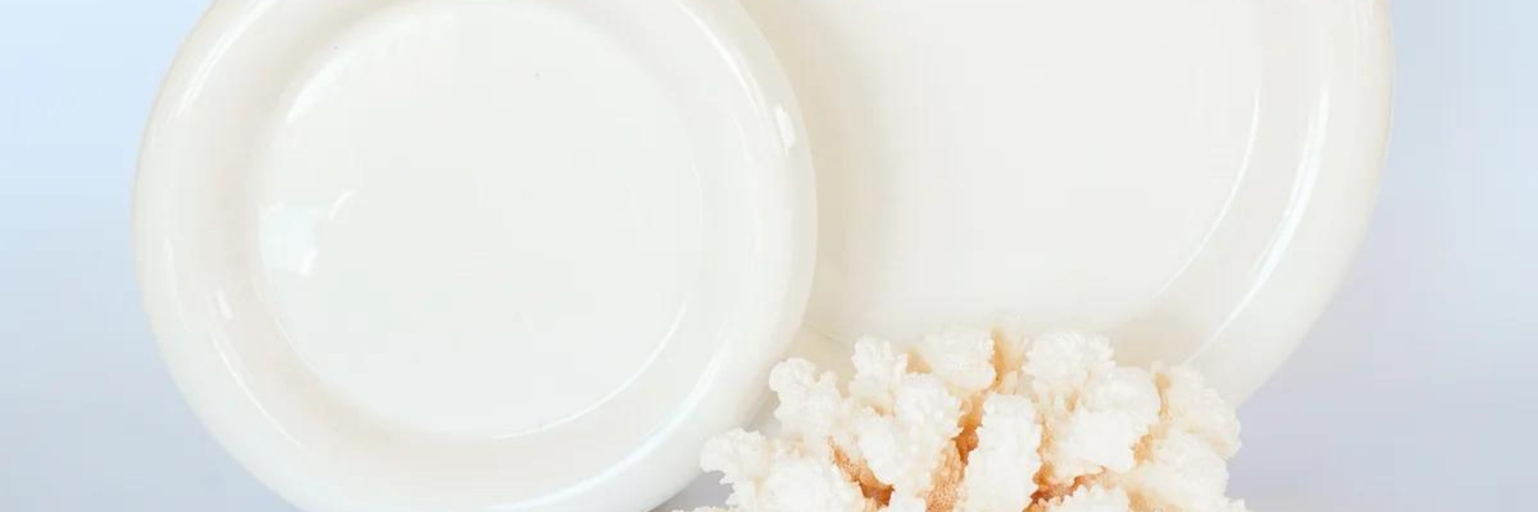 Dinnerware Shop Black Salt Co | Designer Homewares Australia | Modern Furniture Online