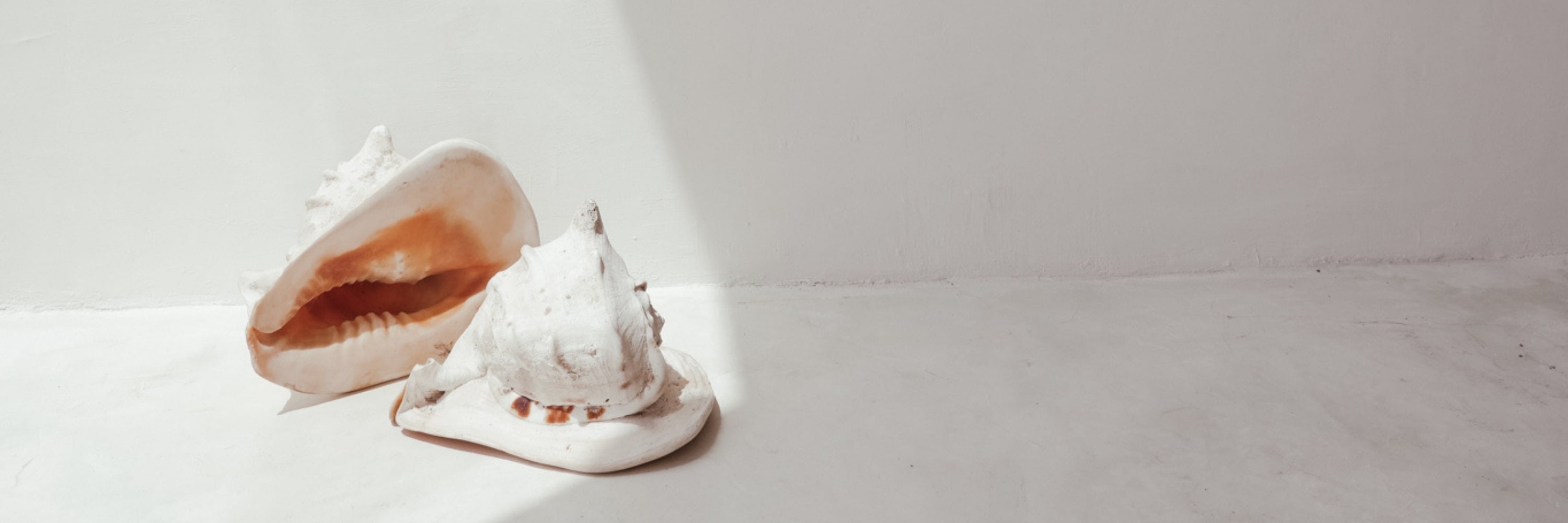 Gifts for Women Shop Black Salt Co | Designer Homewares Australia | Modern Furniture Online