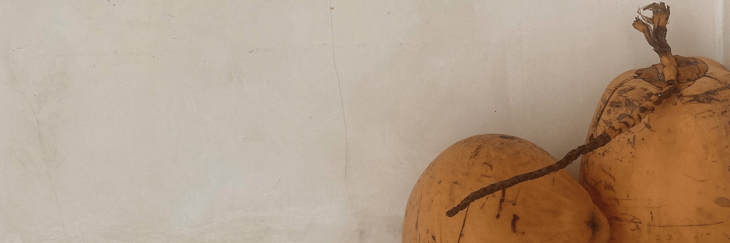 In-Stock Collection Shop Black Salt Co | Designer Homewares Australia | Modern Furniture Online