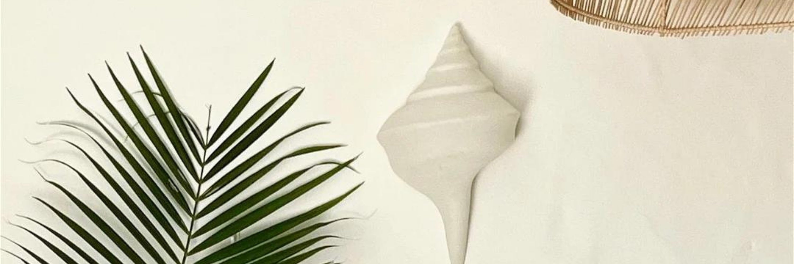 Sconces Shop Black Salt Co | Designer Homewares Australia | Modern Furniture Online