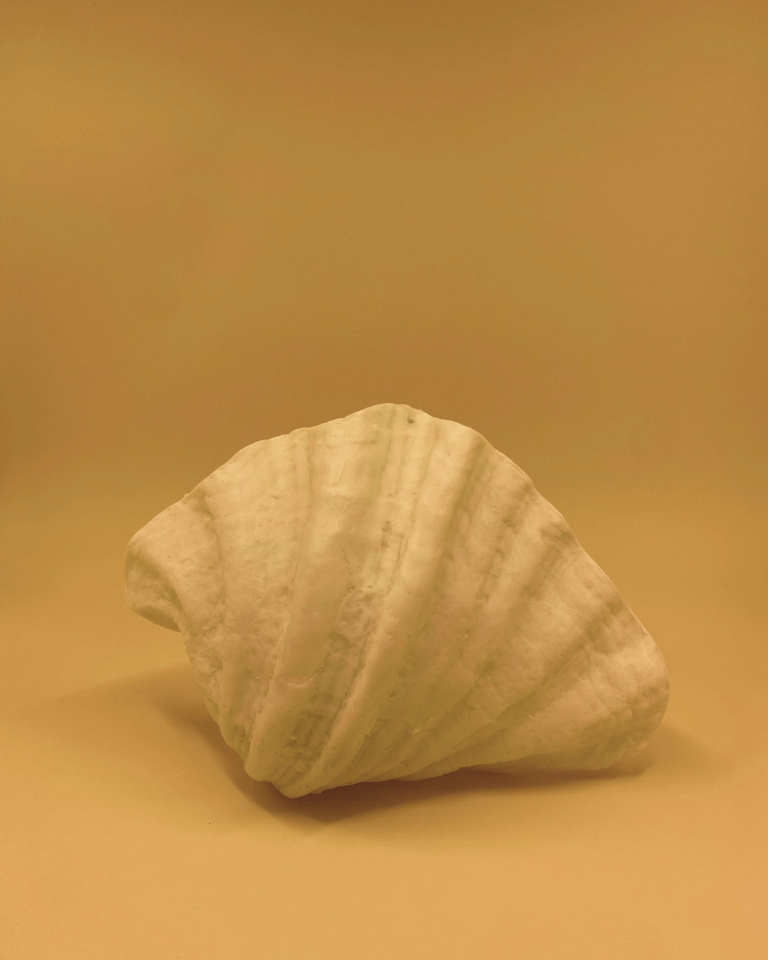 THE ZURI CLAM SCONCE