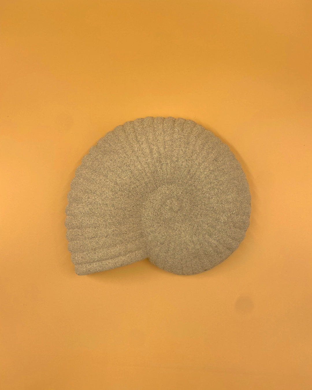 THE SOLEA SHELL SCONCE