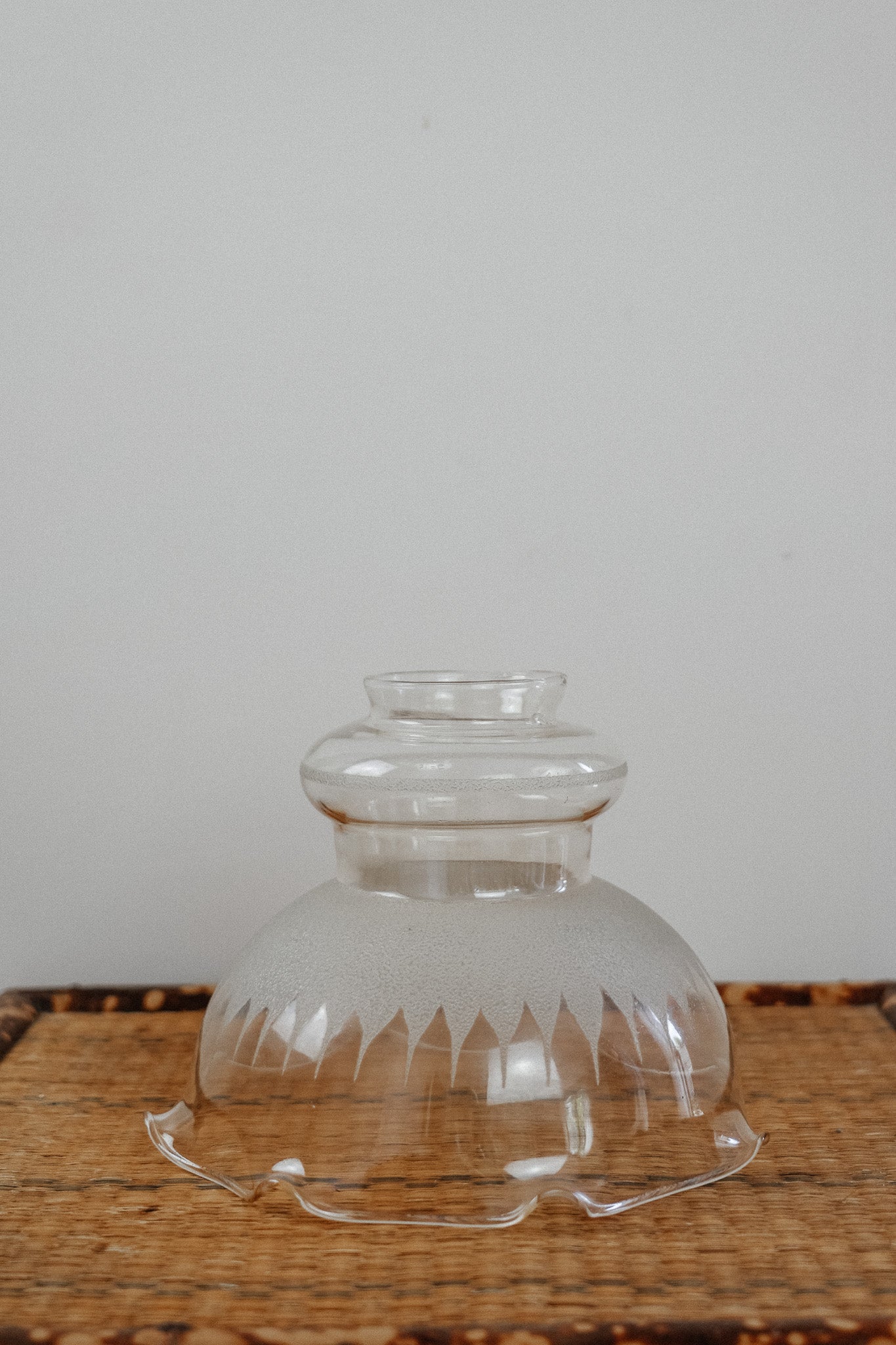 Vintage Etched Glass Pendant/Sconce Lighting
