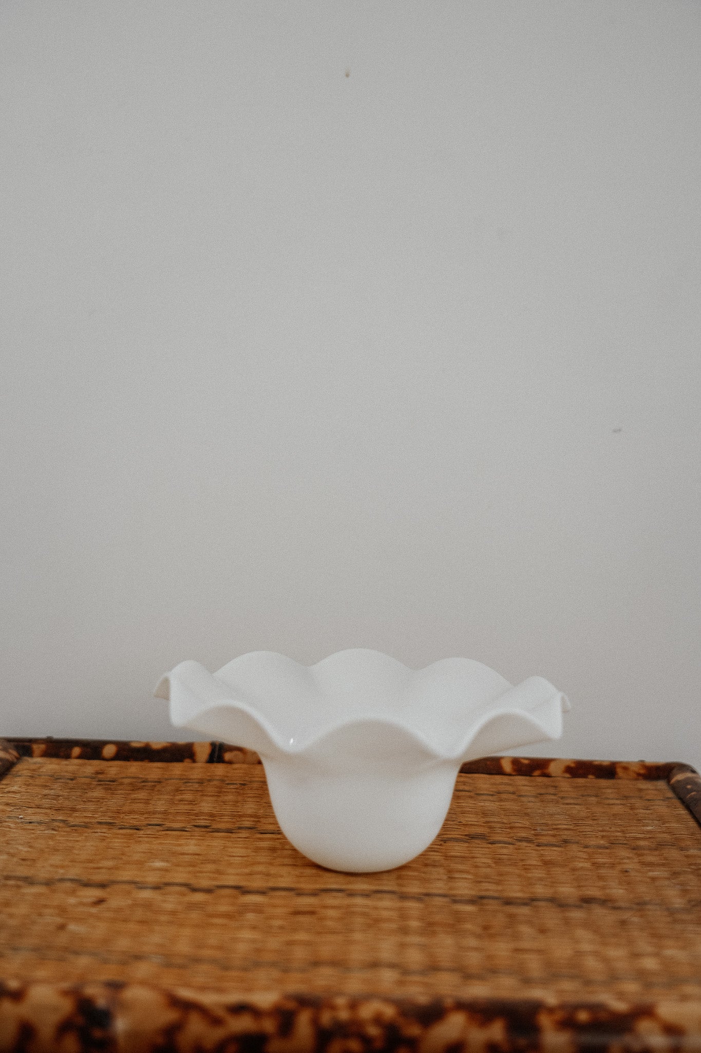 Vintage White Glass Pendant/Sconce Lighting