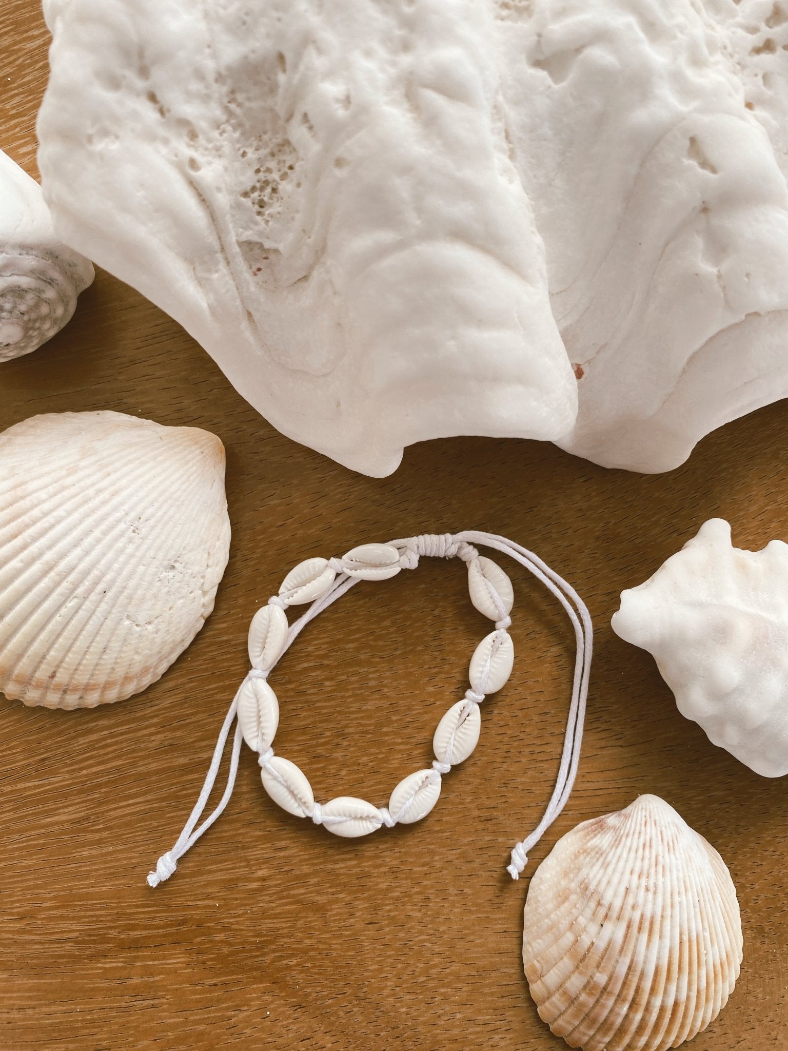 THE SHELL BRACELET by Black Salt Co Designer Homewares Furniture Australia