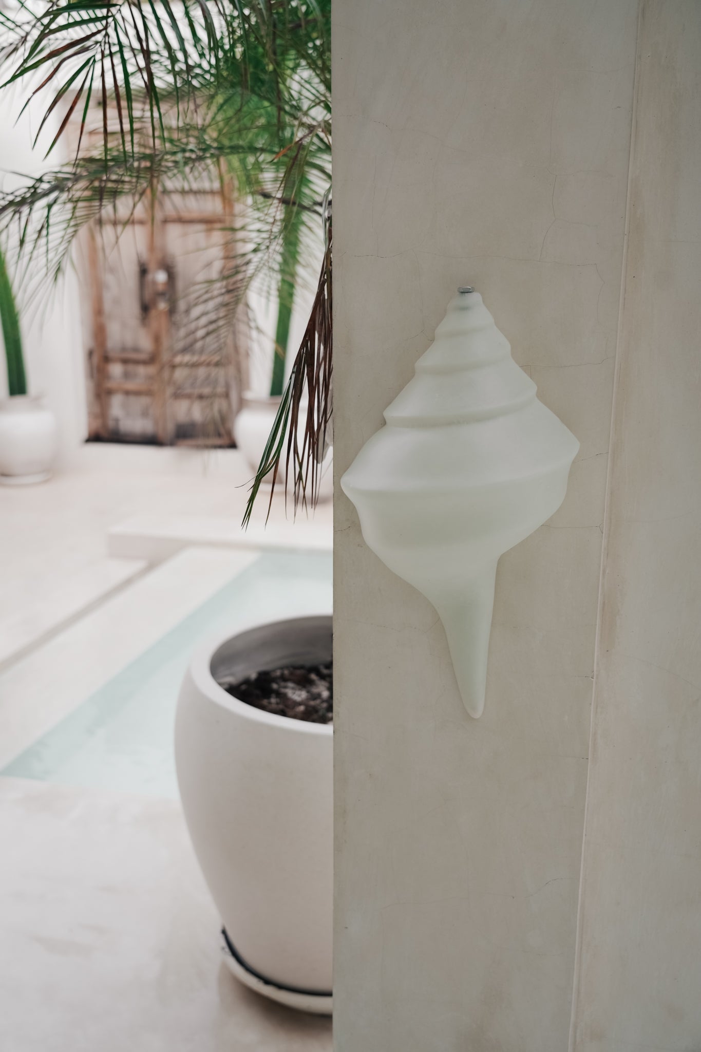THE SHELL SCONCE Color: WHITE by Black Salt Co Designer Homewares Furniture Australia