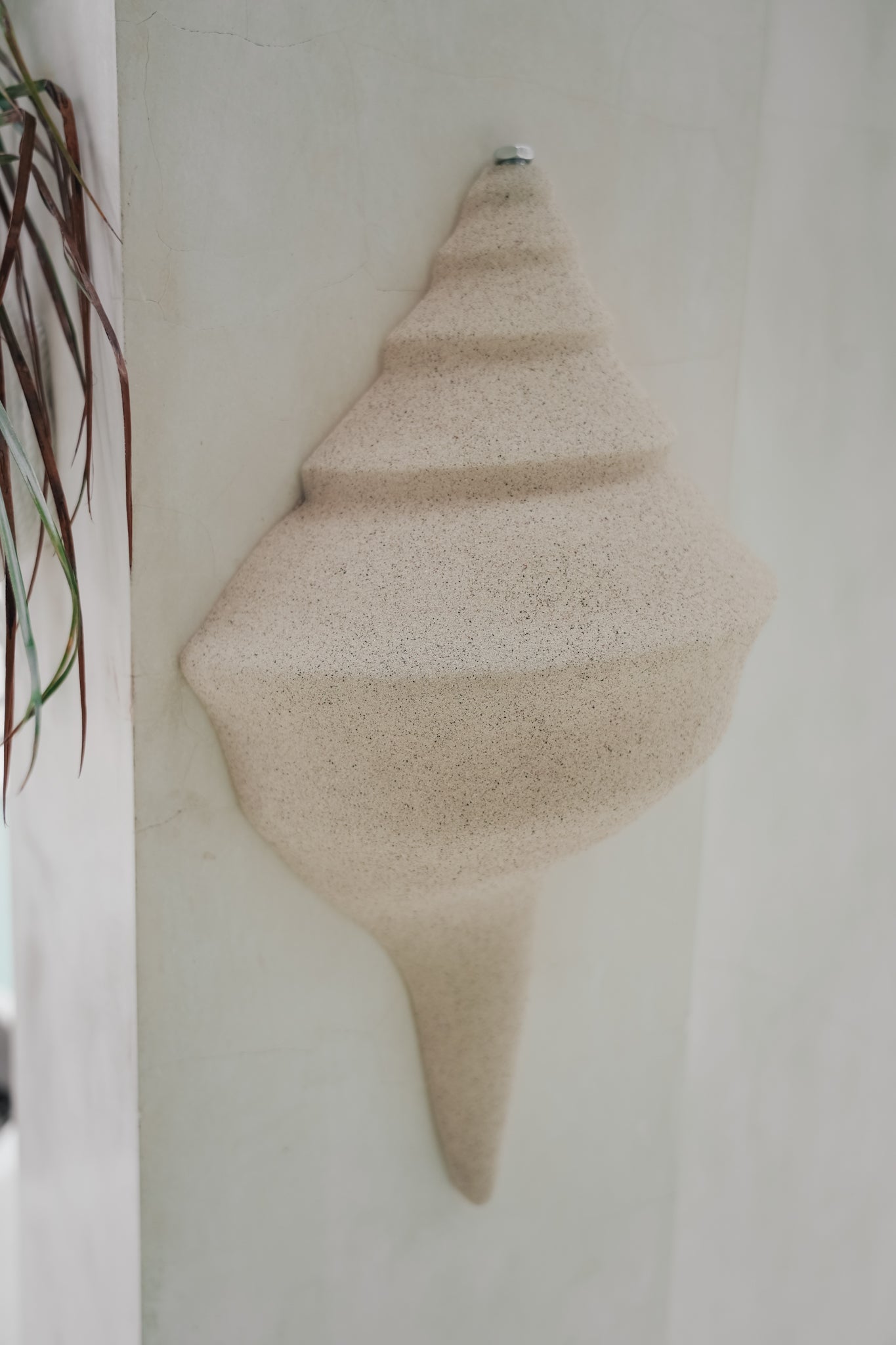 THE SHELL SCONCE Color: SAND by Black Salt Co Designer Homewares Furniture Australia