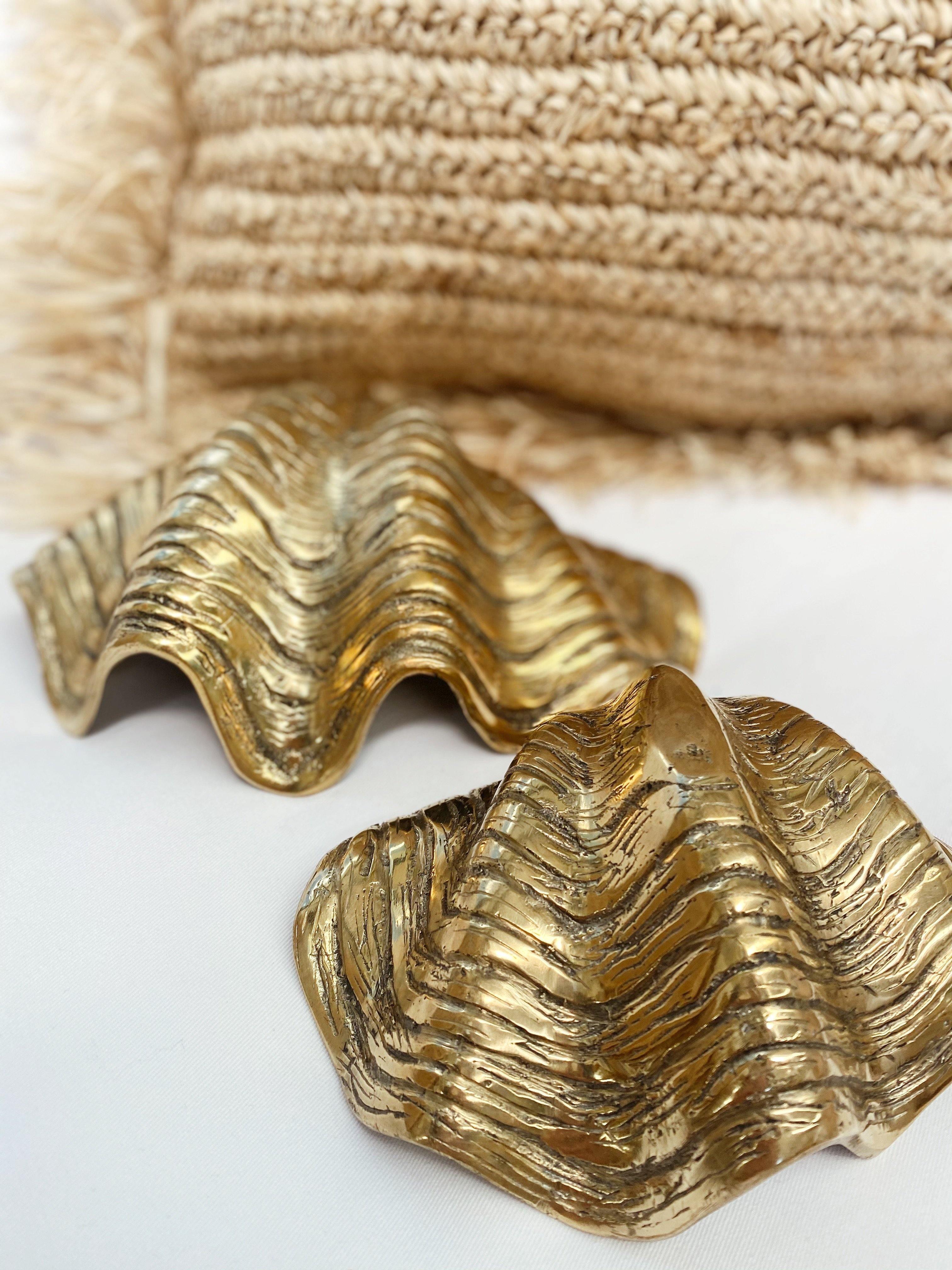 THE BRASS CLAM SHELL - Black Salt Co sale - Black Salt Co