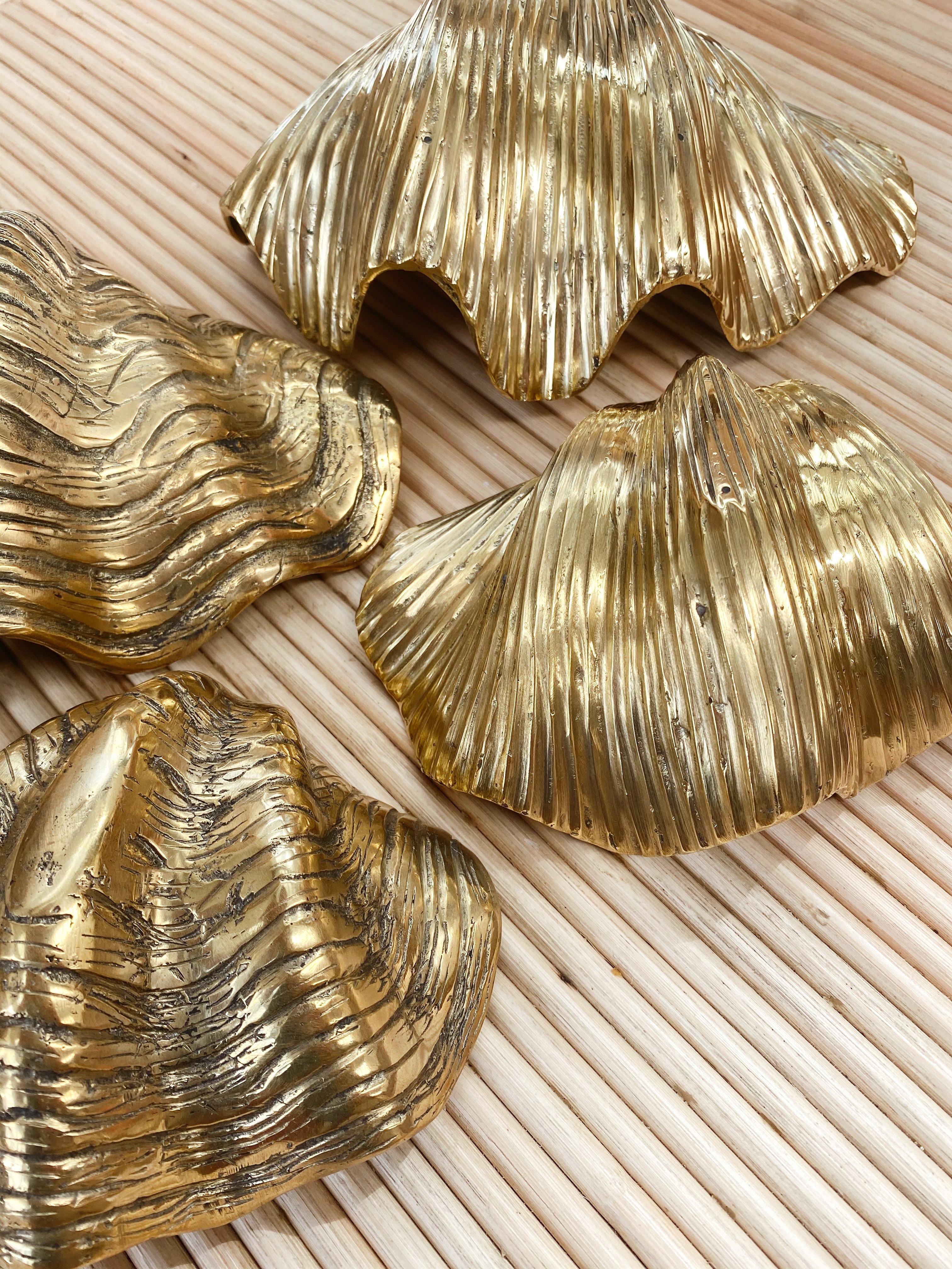 THE BRASS CLAM SHELL - Black Salt Co sale - Black Salt Co
