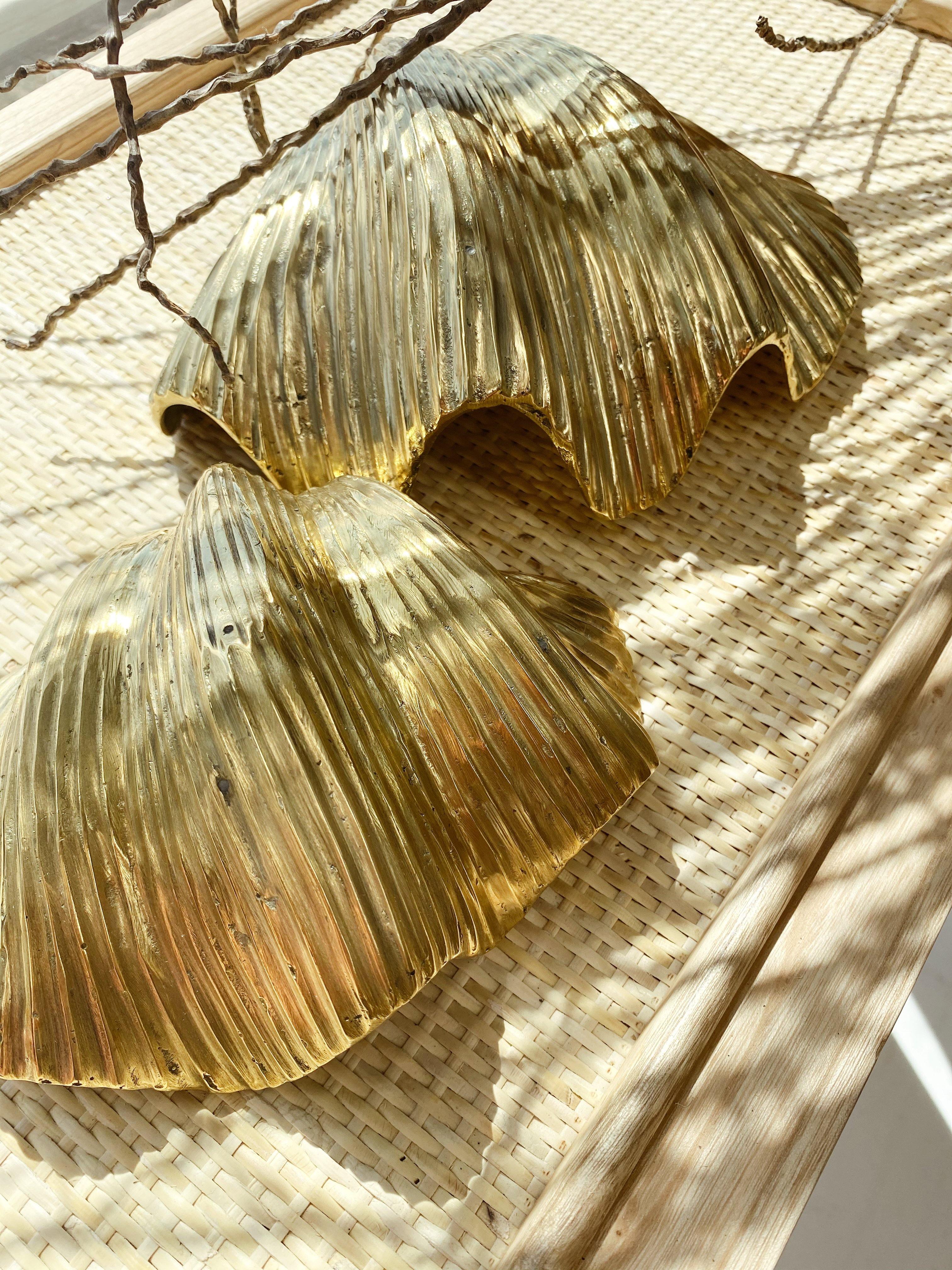 THE BRASS CLAM SHELL - Black Salt Co sale - Black Salt Co
