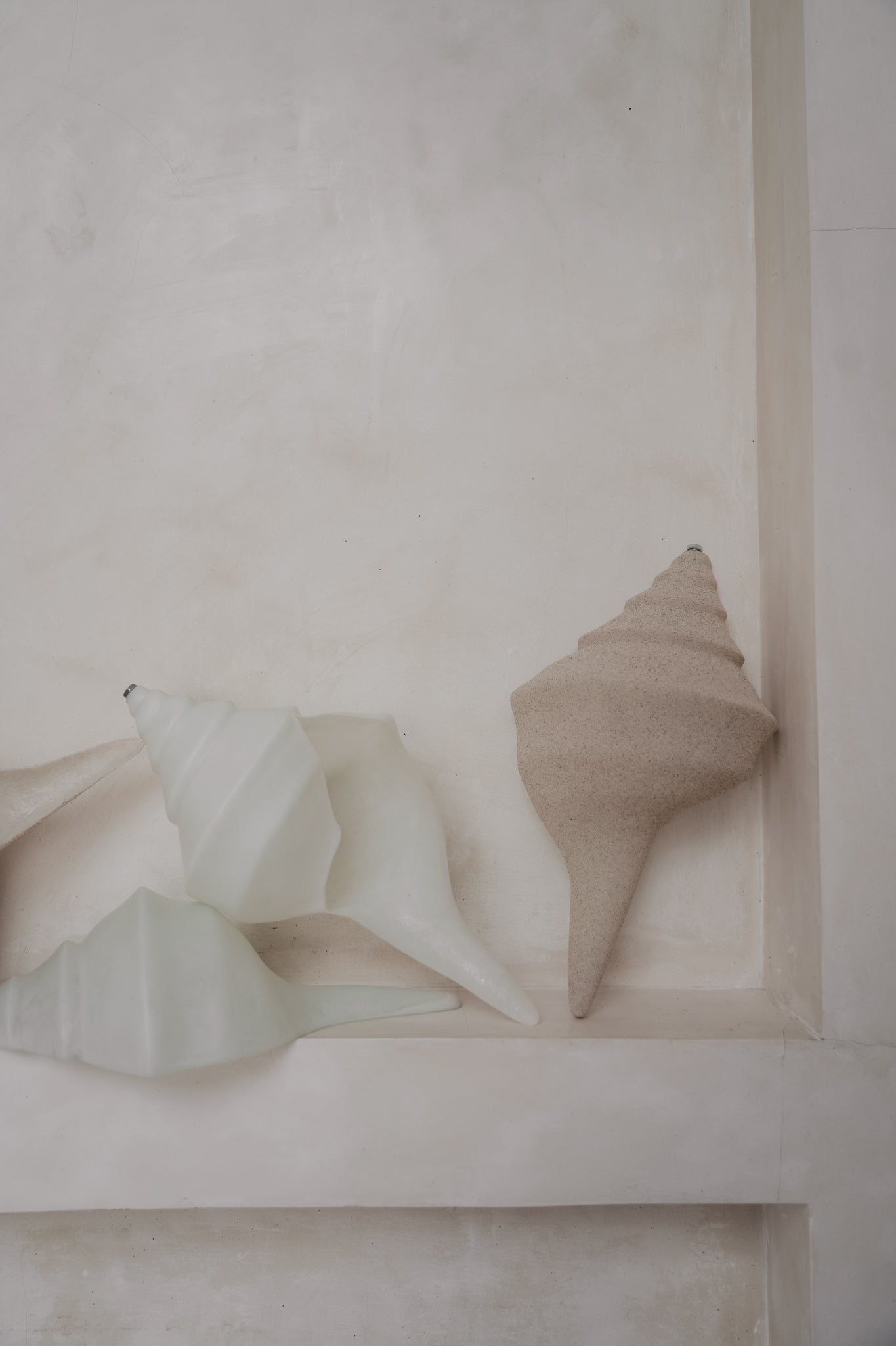 THE SHELL SCONCE Color: WHITE by Black Salt Co Designer Homewares Furniture Australia
