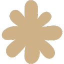 Black Salt Co
