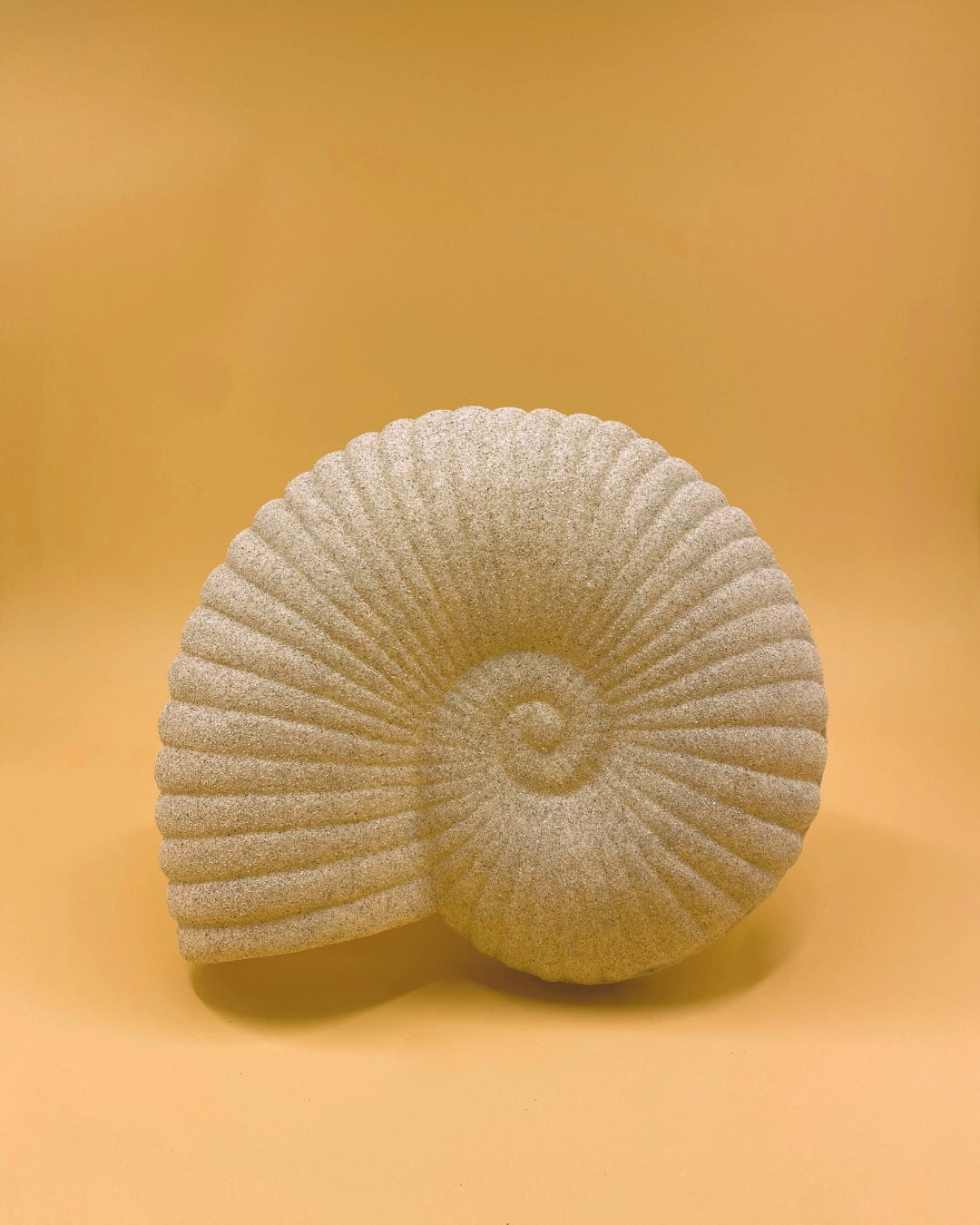THE SOLEA SHELL SCONCE