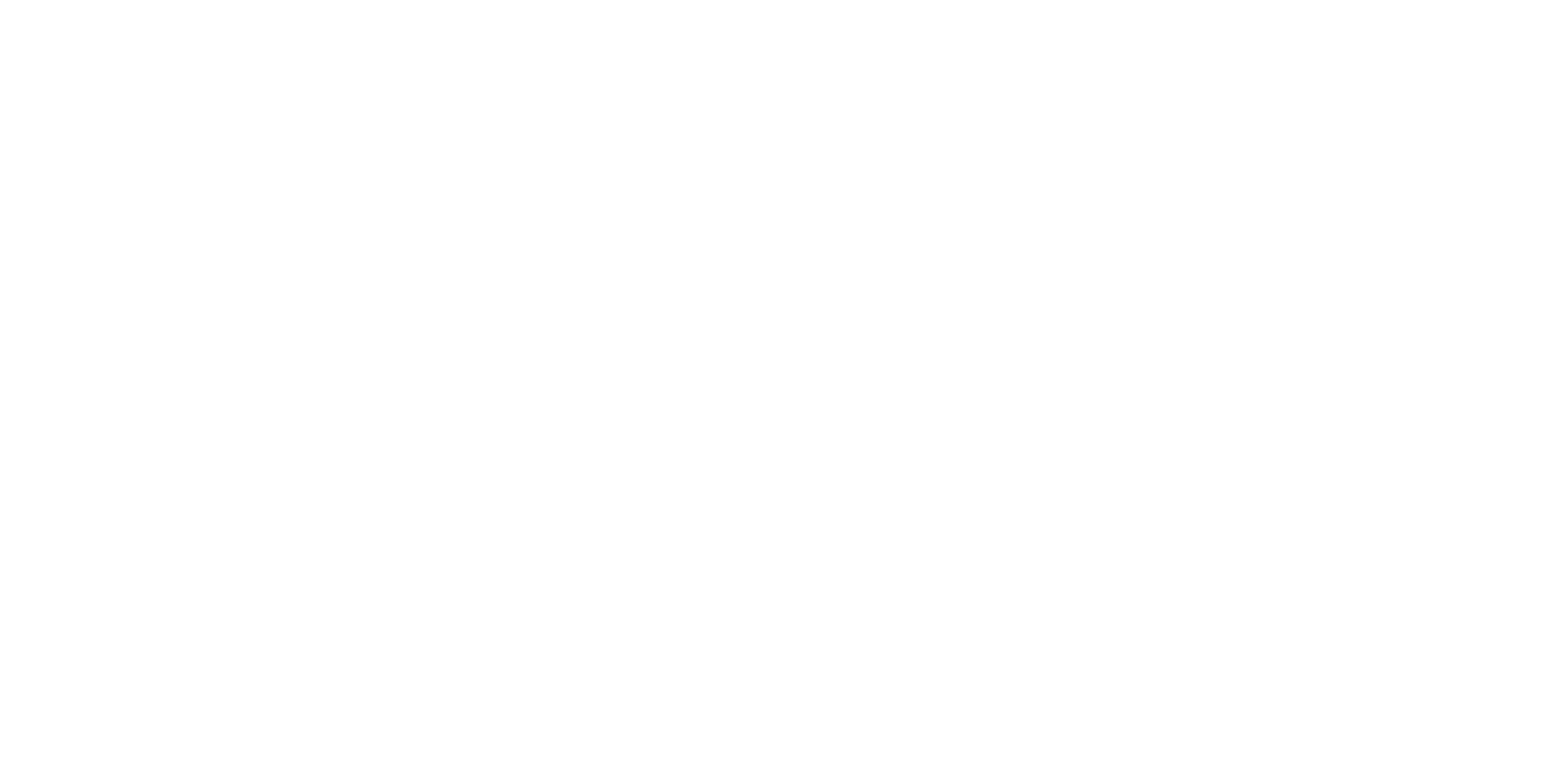 Black Salt Co
