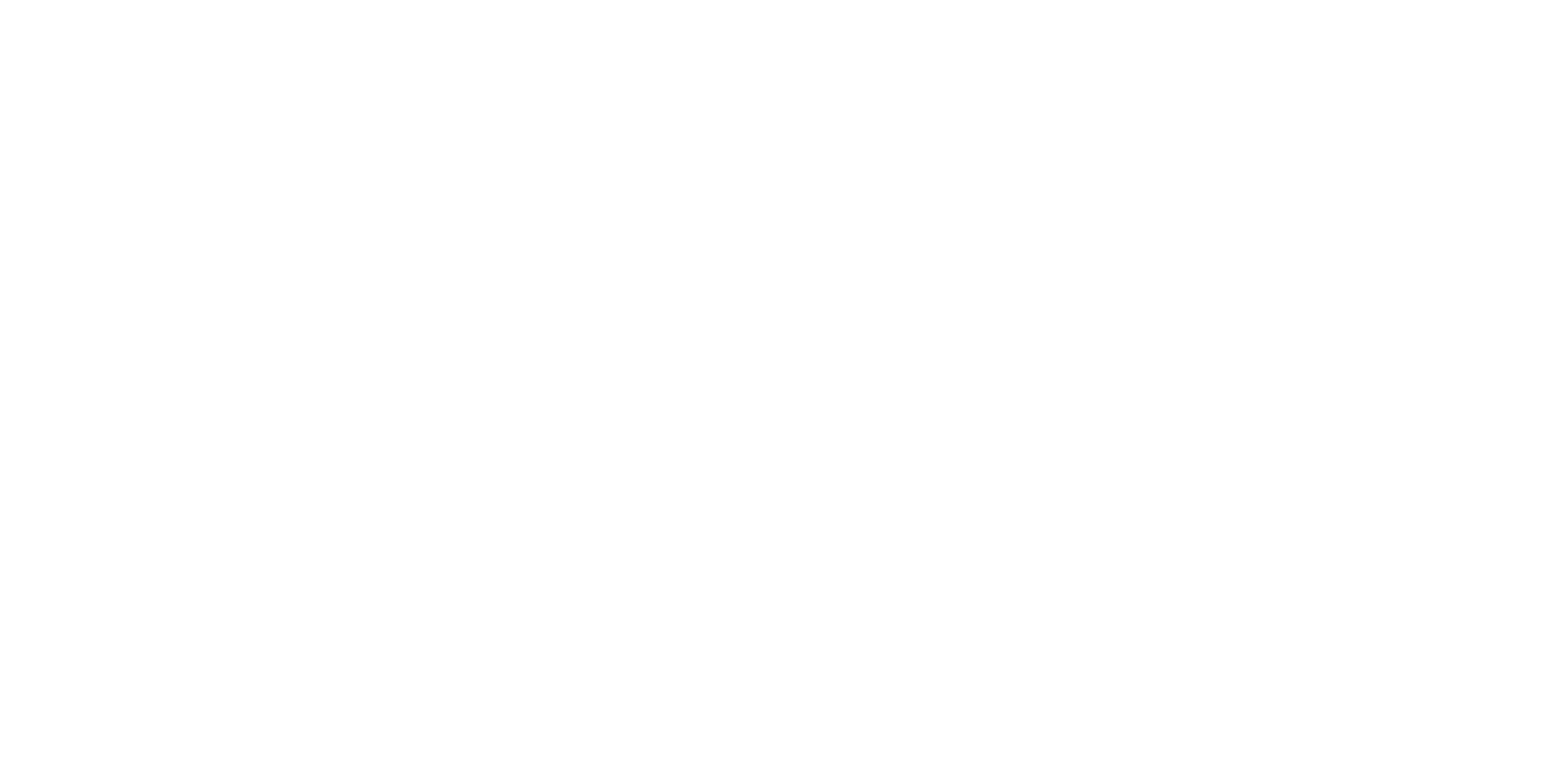 Black Salt Co