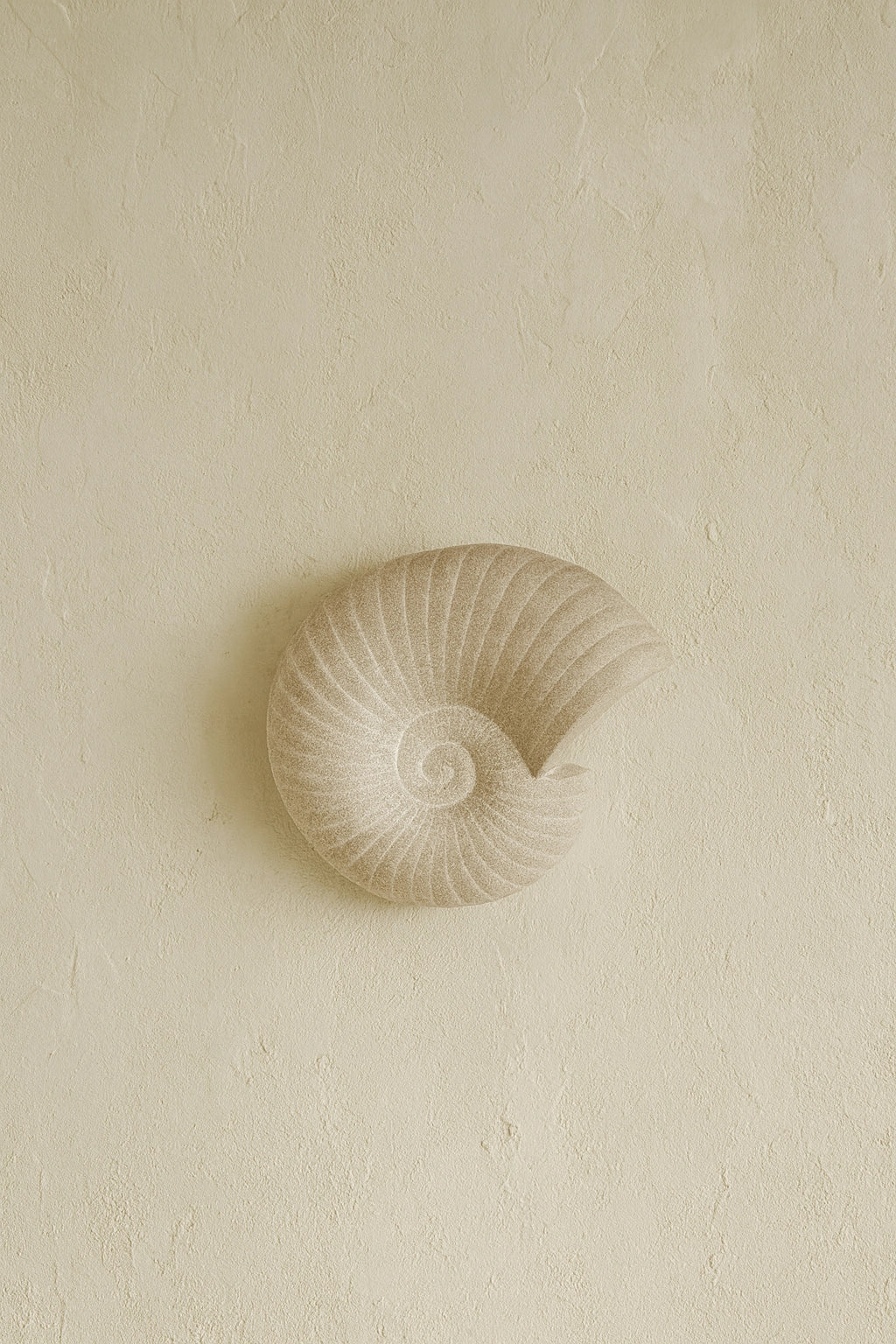 THE SOLEA SHELL SCONCE
