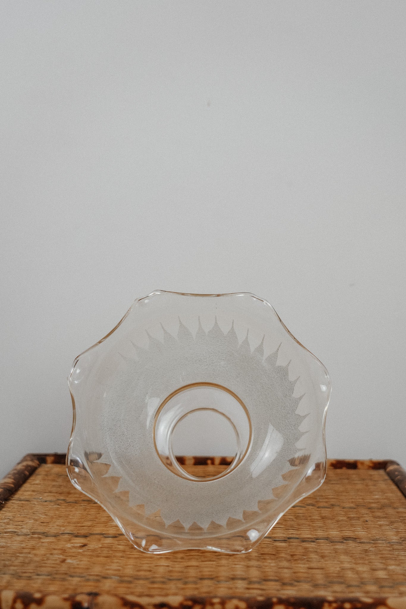 Vintage Etched Glass Pendant/Sconce Lighting