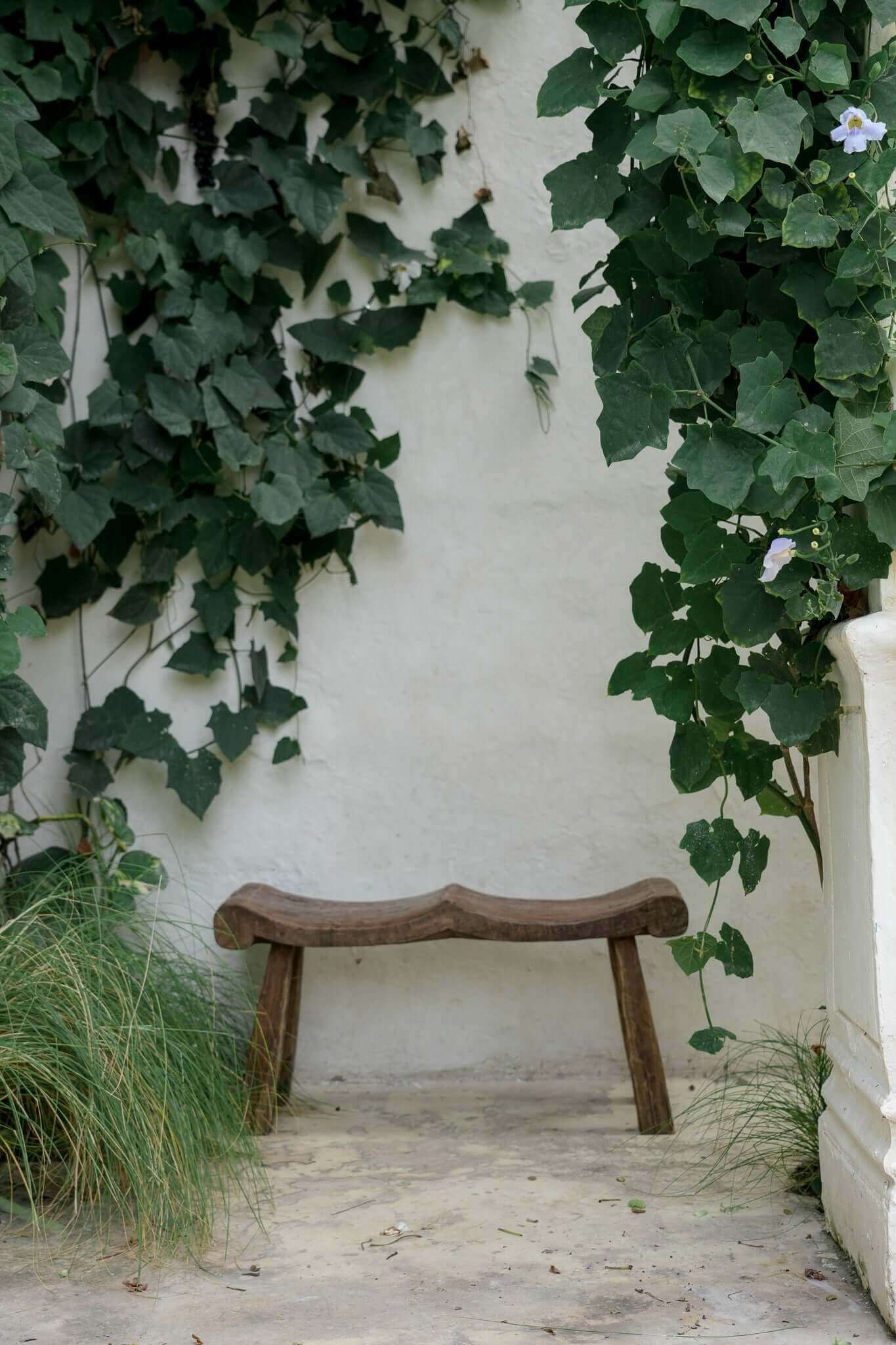 THE ALVAREZ BENCH - 2 SEATER by Black Salt Co Designer Homewares Furniture Australia
